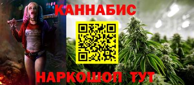 Альфа ПВП Ярославль