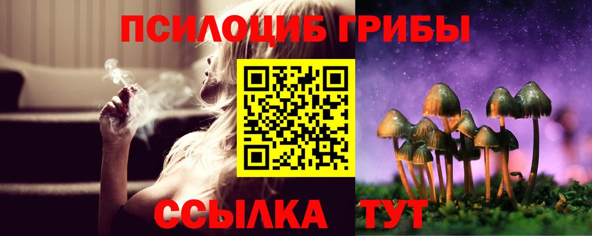 Галлюциногенные грибы мухоморы Электросталь